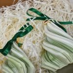 gift box με Χριστουγεννιάτικα Δέντρα