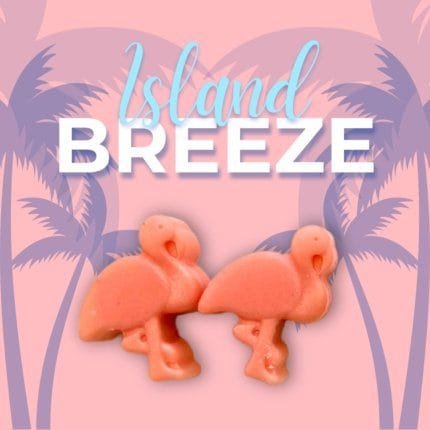 Wax Melts σόγιας Island Breeze, τοποθετημένο σε καλοκαιρινό σκηνικό με θαλασσινά στοιχεία, τροπικά φρούτα και λουλούδια. Η σύνθεση αποπνέει αίσθηση καθαριότητας, φρεσκάδας και τροπικής απόδρασης.